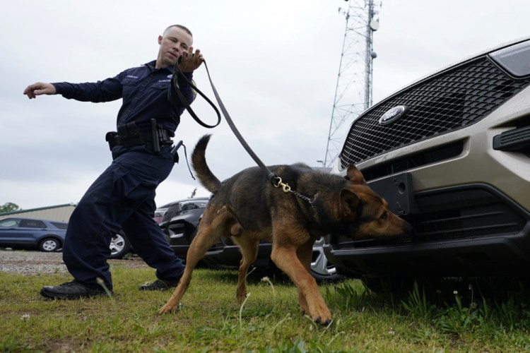 Virginia State Police K-9 Officer Tyler Fridley works his dog Aries at state police headquarters in Richmond, on  May 10.
