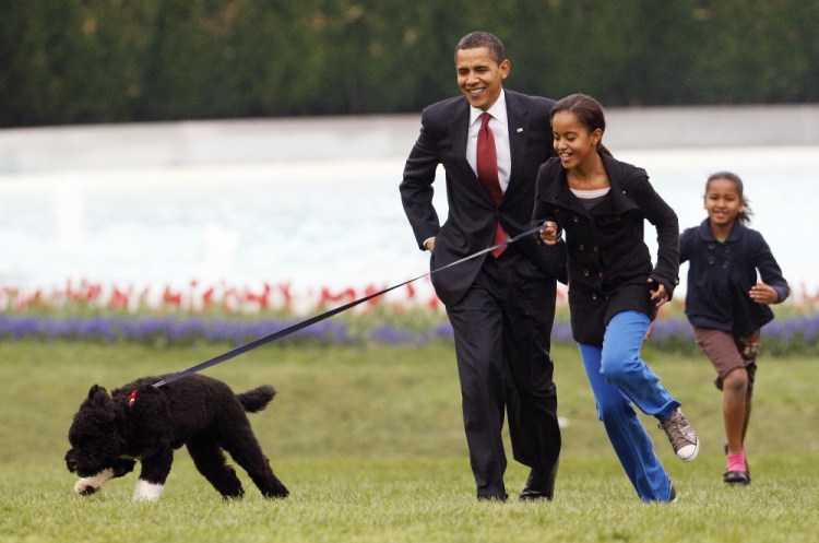 Malia Obama runs with Bo, followed by President Barack Obama and Sasha Obama, on the South Lawn of the White House in Washington in 2009. 

