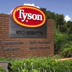 Tyson_Foods_Results_58084