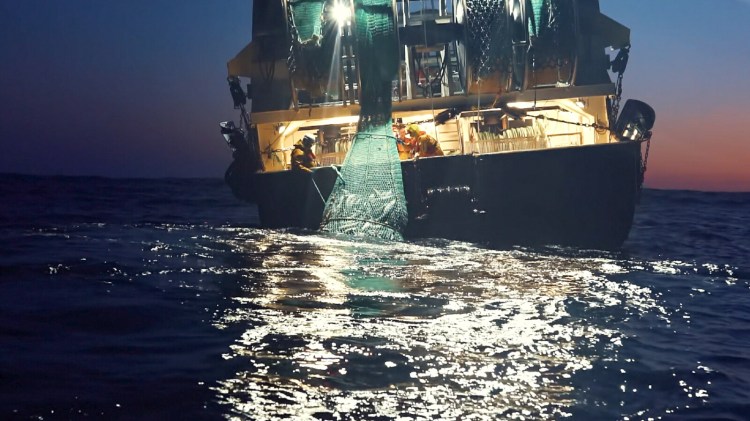 Seaspiracy. c. Courtesy of Sea Shepherd