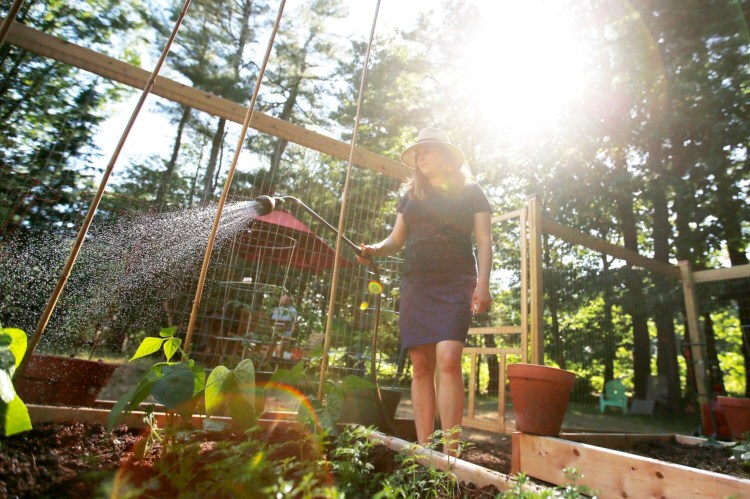 SOUTH PORTLAND, ME - JUNE 25: Eileen Bernier waters the garden at her South Portland home on Thursday. (Staff photo by Ben McCanna/Staff Photographer)