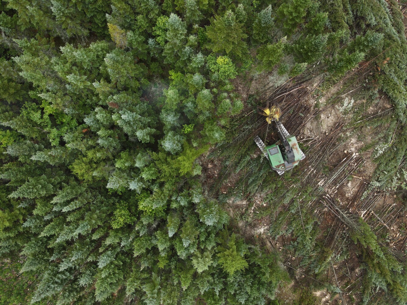 Spring means it's time to start surveying Maine streams - Maine