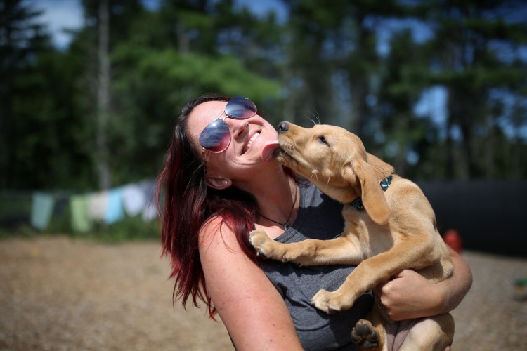 Meghan Osborne, owner of Blue Dog Daycare in Brunswick, receives a kiss from Milly, a lab mix, on Wednesday. During the pandemic, dogs have reveled in their owners being home all the time and even enjoyed more outdoor activities. But what happens now that more pet owners are going back to the office?