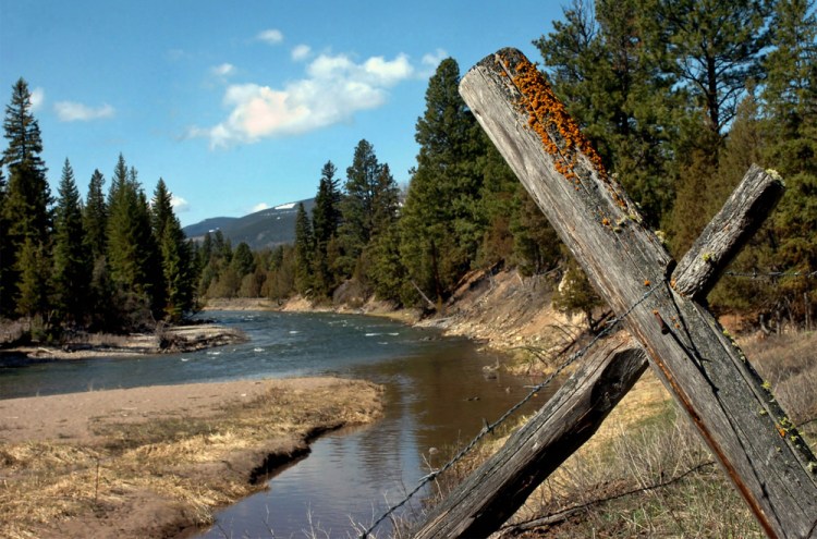 Jacobsen Creek, a tributary of the North Fork of the Blackfoot River near Ovando, Mont. Authorities say a grizzly bear attacked and killed a person who was camping in the Ovando area early Tuesday.

