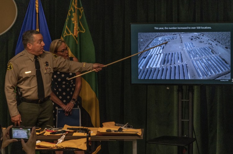 Los Angeles County Sheriff Alex Villanueva, and Los Angeles County Supervisor Kathryn Barger stand in front of confiscated firearms, as he points to a picture of some 500 illegal pot operations at a news conference in Los Angeles on July 7. (AP Photo/Damian Dovarganes)