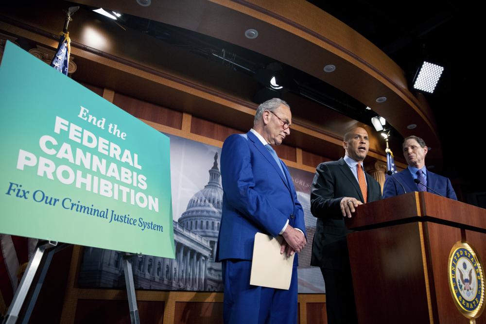Senate Marijuana Bill