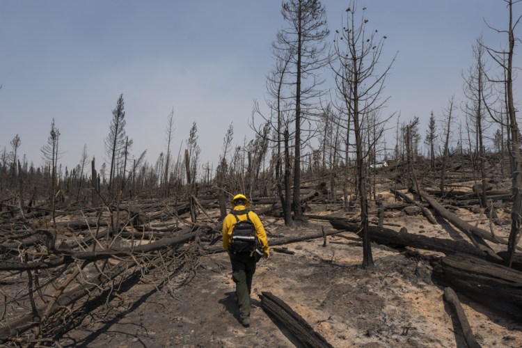 Marcus Kauffman, public information officer with the Bootleg Fire, walks through burn damage near the Northwest containment line on Friday near Paisley, Ore.