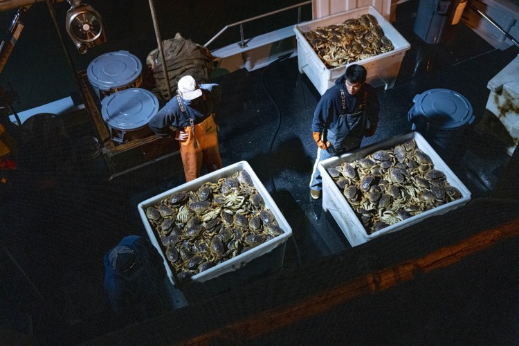 Workers prepare to offload Dungeness crab from a boat on Pier 45 in the Fisherman's Wharf district in San Francisco, California, in January. 