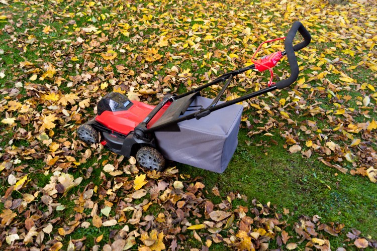Many lawn mowers will grind up the fall leaves into a fine mulch known as leaf mold. 