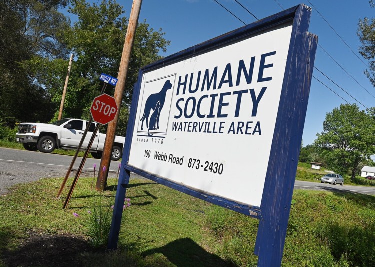 Rae-Ann Demos has been hired as executive director of the Humane Society Waterville Area shelter, located at 100 Webb Road in Waterville.