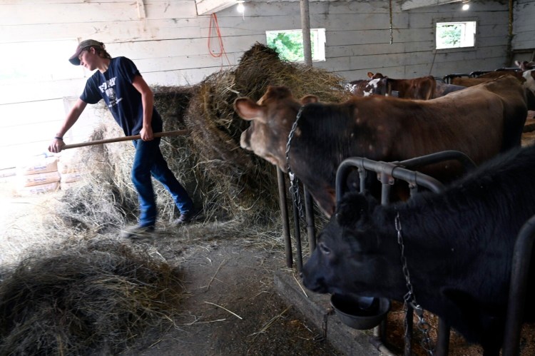 Carter Bragg 16, carries hay Saturday using a pitchfork in the barn at Bragg Homestead, a family-run organic dairy farm in Sidney.