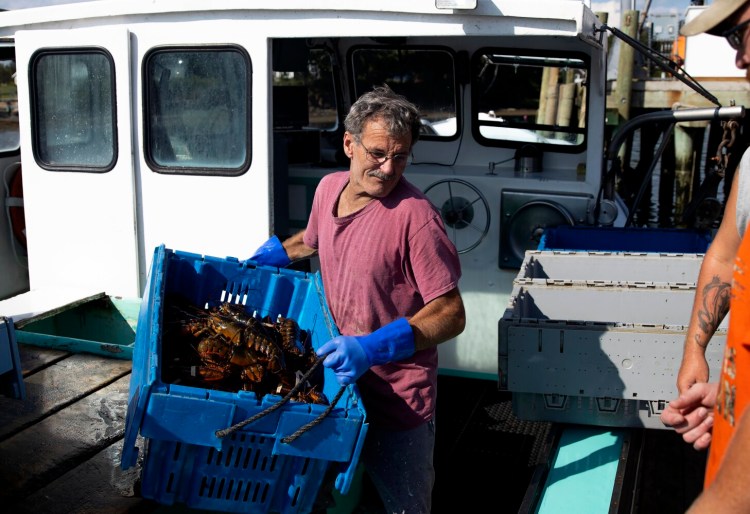 Doug Adams unloads lobsters from his boat, Jeannie IV, at Interstate Lobster Wharf in Harpswell on Tuesday. Federal officials say the closure of part of the Gulf of Maine will directly affect roughly 60 lobstermen who fish in the restricted area and another 60 who might be affected by the others relocating.