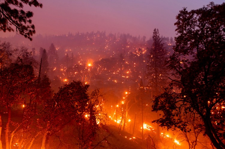 The French Fire burns  along Highway 155 in Sequoia National Forest, Calif., on Aug. 25. 