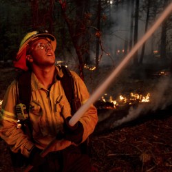 California Western Wildfires