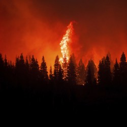California Wildfires