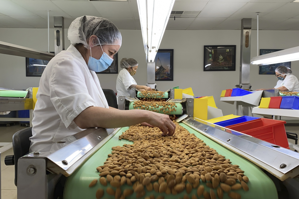 Drought Thirsty Almonds