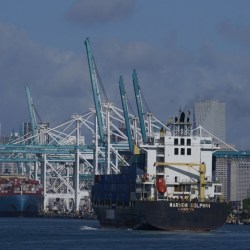 Economy-Shipping Snags