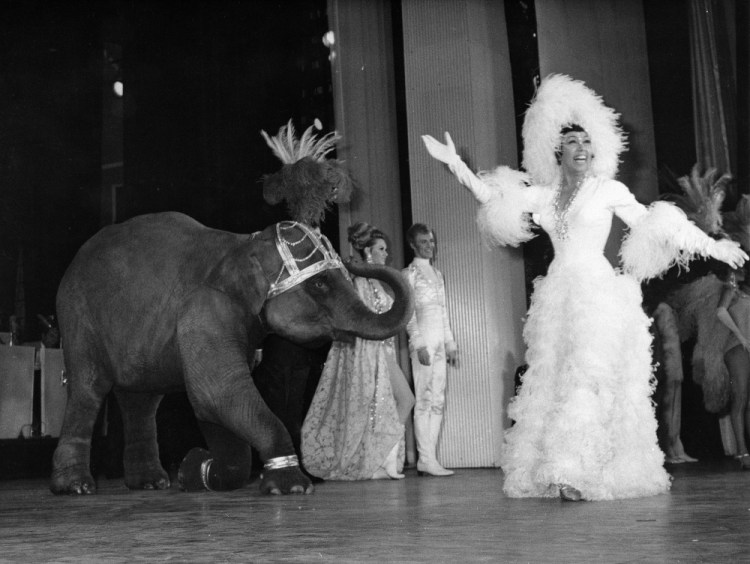 Josephine Baker appears with a young elephant on stage in 1968 during her gala premiere at the Olympia Theatre in Paris. 