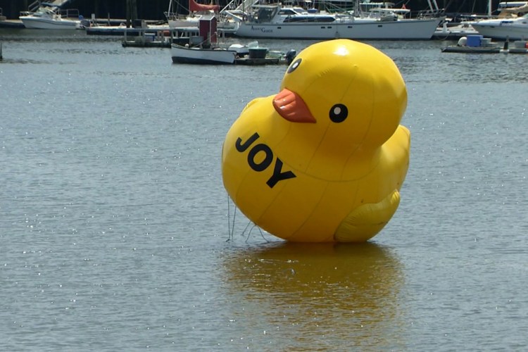 A giant rubber ducky floats in Belfast Harbor on Tuesday in Belfast. Harbor Master Katherine Given says it's a mystery who put it there, but that the 25-foot-tall duck doesn't pose a navigational hazard so there's no rush to shoo it away. 