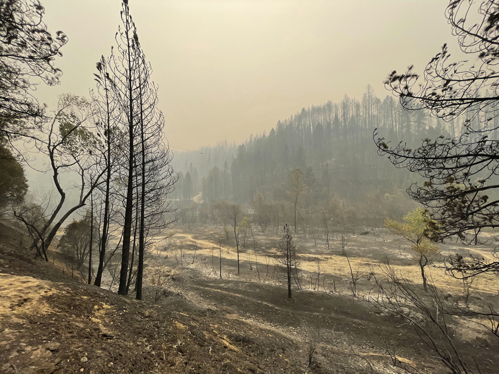 Western Wildfires