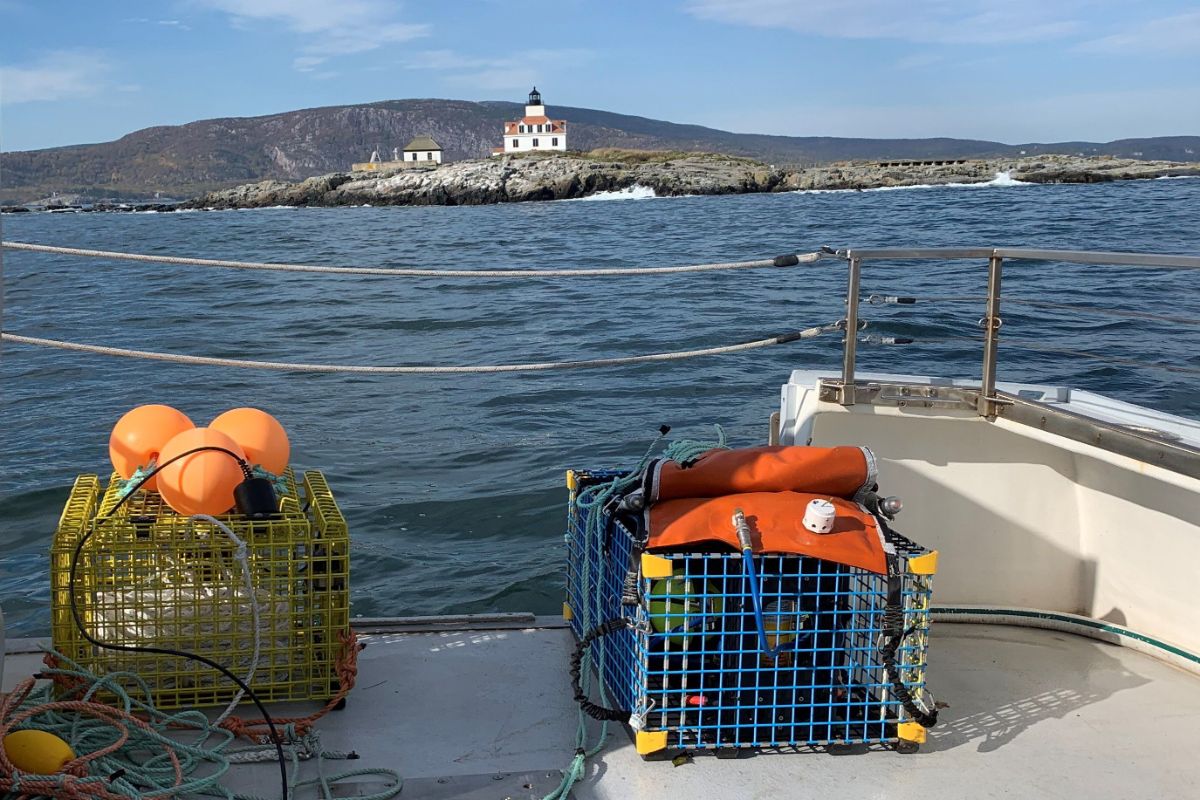 Researchers test ropeless lobster trap technology with eye toward