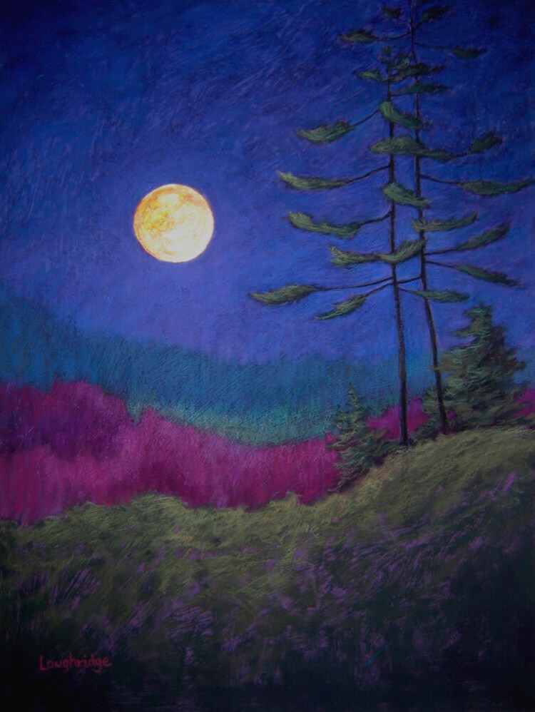 "Night Vision," a pastel painting by Sally Loughridge Busch, is on view at the Maine Coastal Islands National Wildlife Refuge visitor center in Rockland.