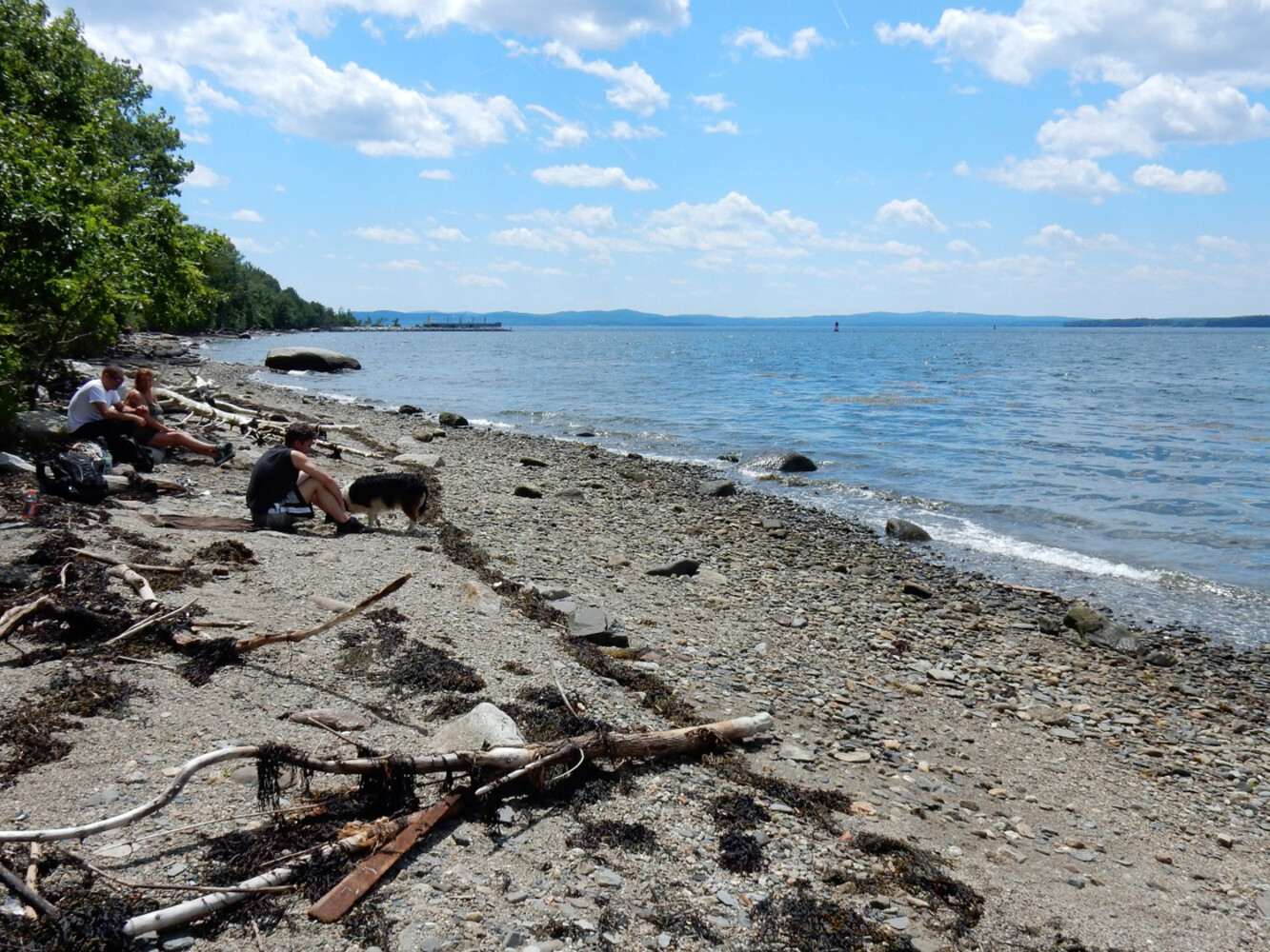 Opinion: Wind development on Sears Island is a dead end - Vimarsana News