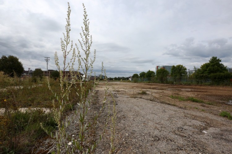A vacant lot at 59 Somerset Street will be taken by the city by eminent domain.