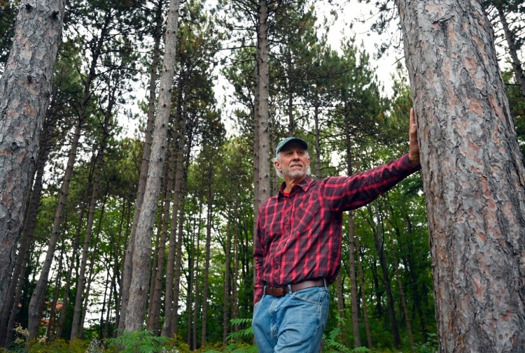 Hughes Kraft, shown at Baxter Woods in Portland, is a certified forest therapy guide who is leading forest bathing walks at Pineland Farms this fall.