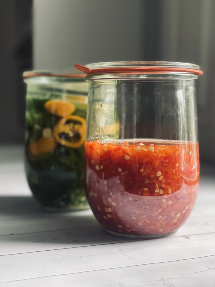 Fermenting chili peppers for hot sauce. red Krimzon Lee and habanero chilies ferment in salt and their own juices, at right. Sandia Green, jalapeno and sweet yellow bell peppers ferment in brine, at left.