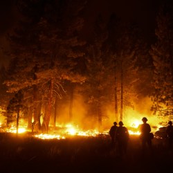 Western Wildfires Decisions Explainer