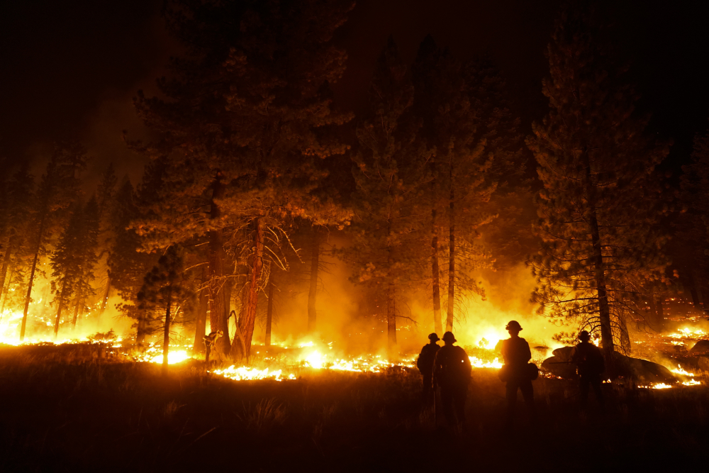 Western Wildfires Decisions Explainer