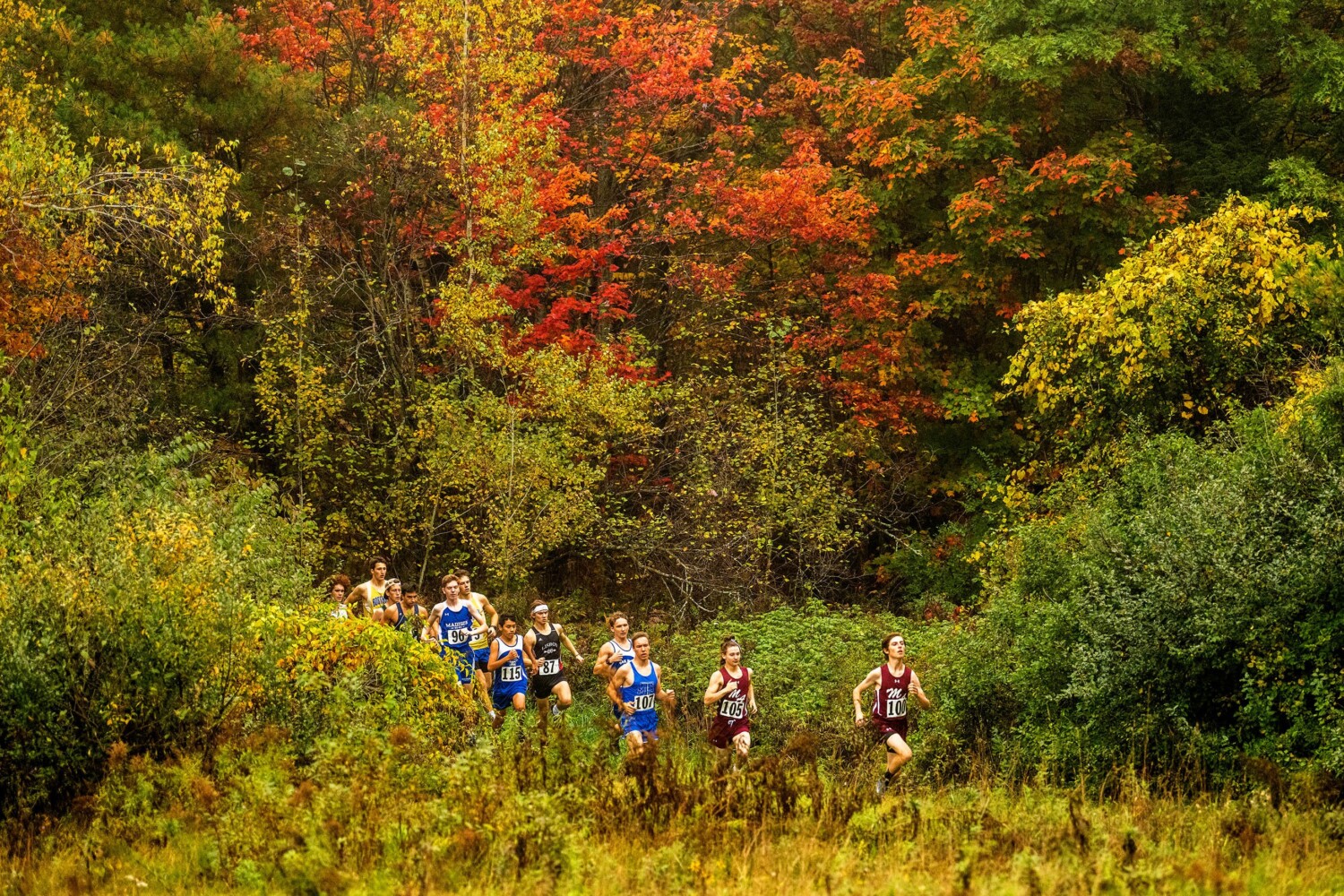 Cross Country: Monmouth’s Alexa Allen, Brosnan Comeau Sweep MVC ...