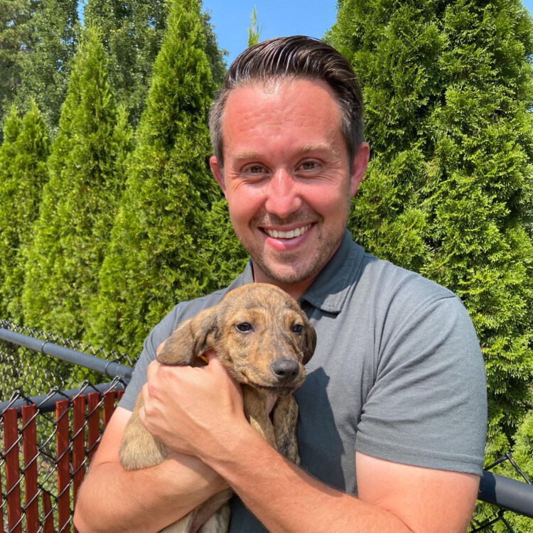 Adam Ricciio Animal Welfare Society hires Adam Ricci as director of operations and ...