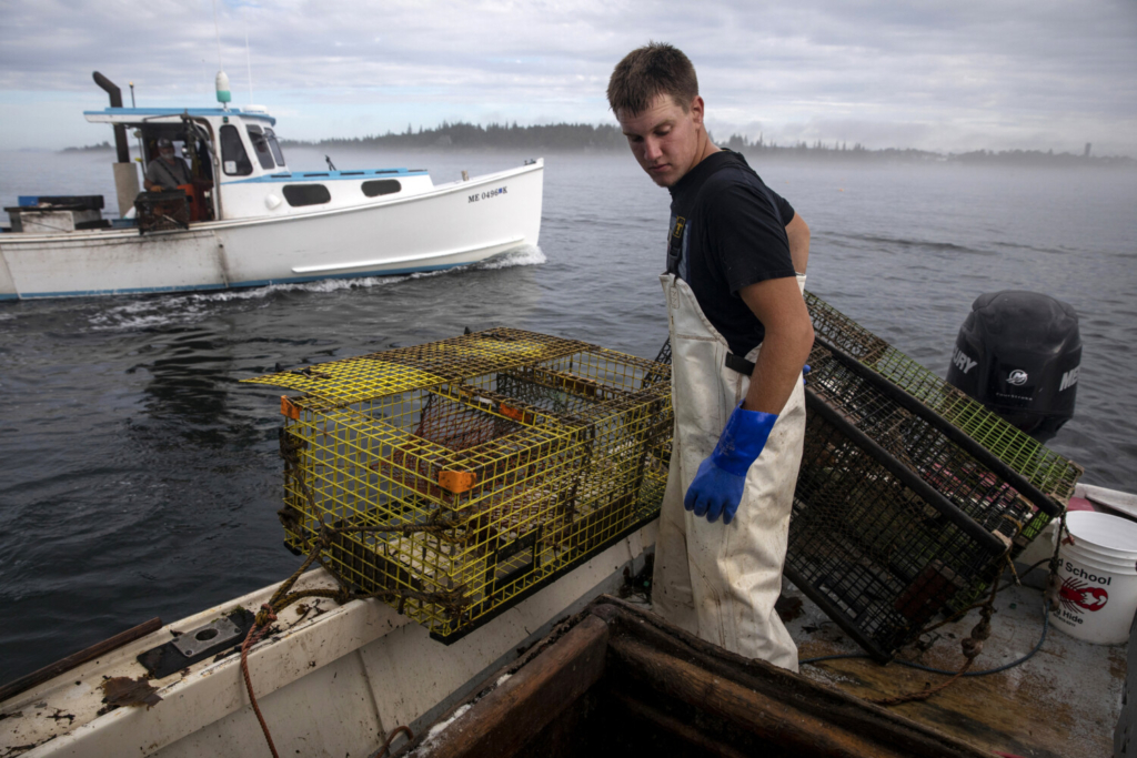 7 takeaways from our 'Lobster Trap' series