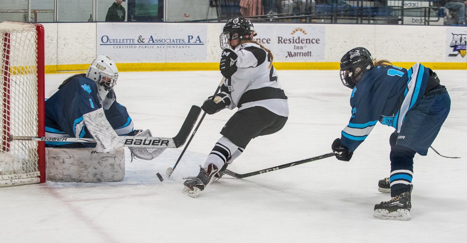 Marshfield's Gabby Roy makes an immediate impact on BC women's hockey