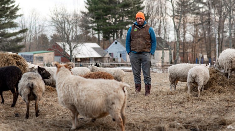 Maine farmer Michael Dennett of Jefferson stands with his flock of sheep. He has contracts to graze his sheep beneath solar panels, essentially providing a mowing service for developers.