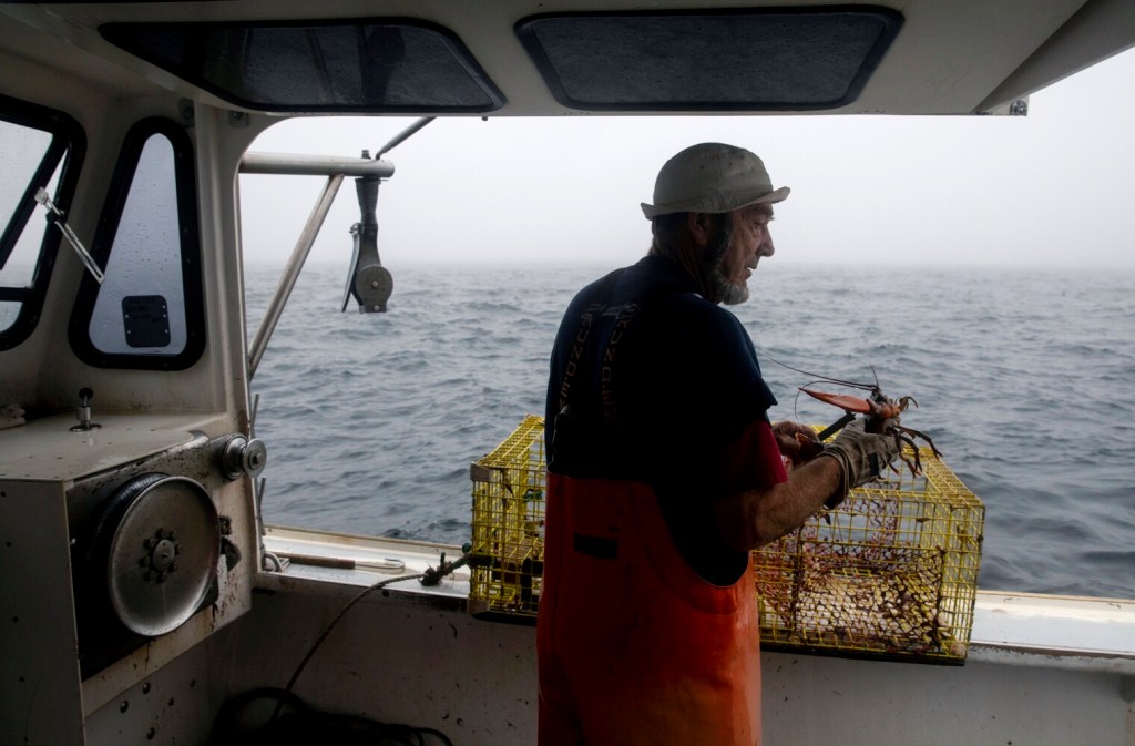 Higher prices boost 2021 Maine lobster landings to record 725 million
