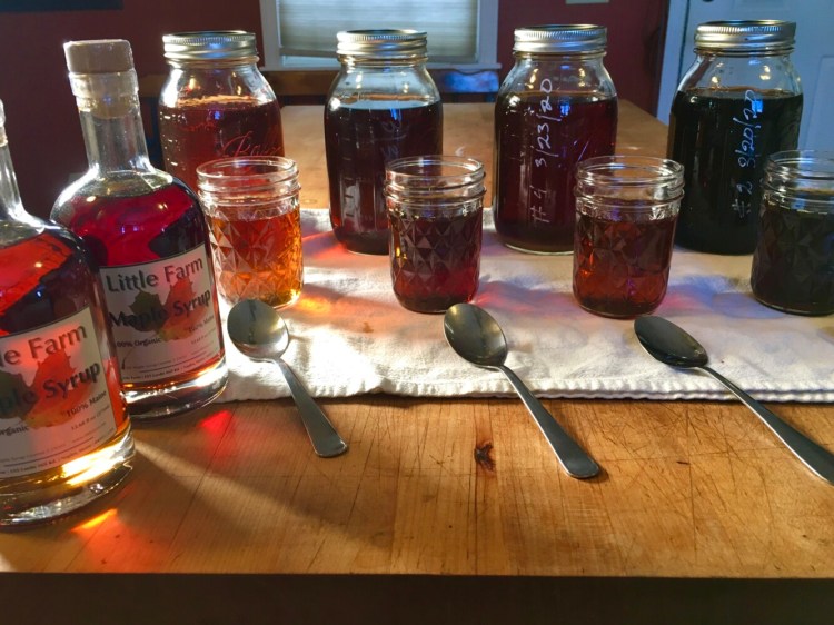 Four batches of maple syrup are lined up in the kitchen of Little Farm in Naples for a tasting. 
