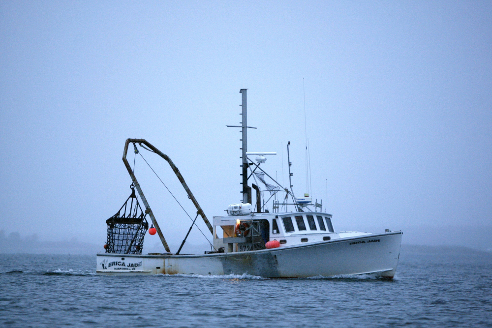 Overfishing Report
