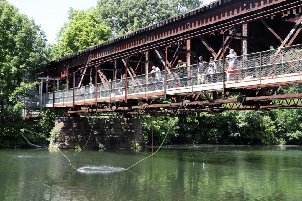Magnet Fishing Under a Train Bridge 