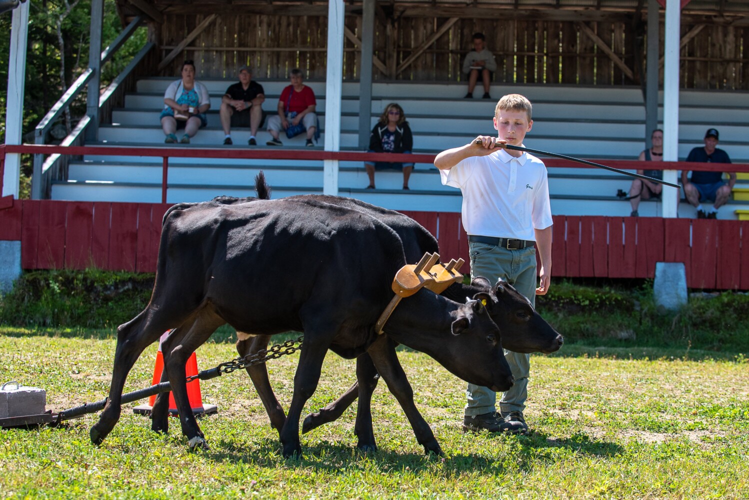 Photo album Friday at the Waterford World’s Fair