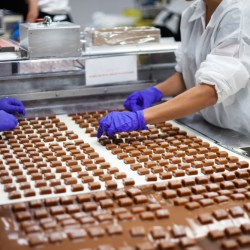 Who wouldn’t want to make chocolate for a living?