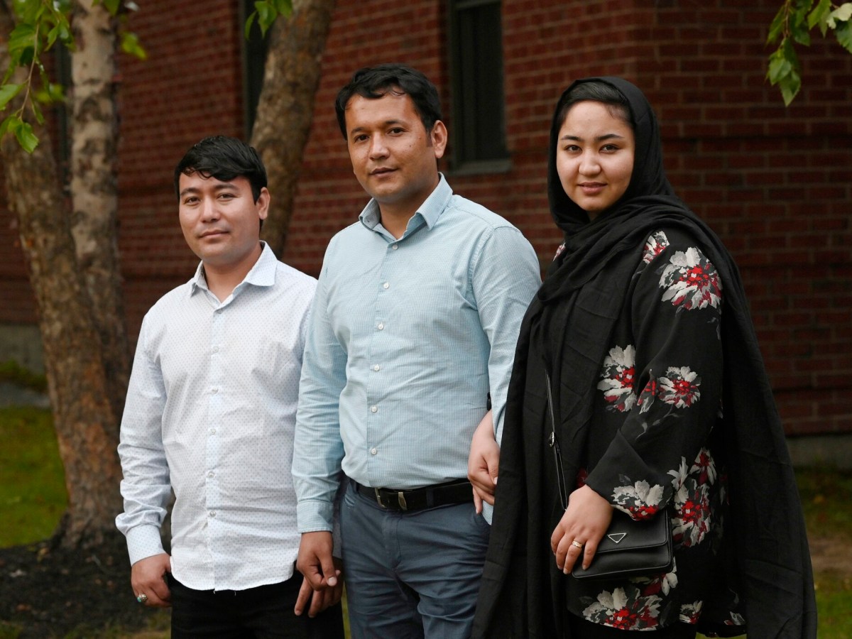 Afghans
