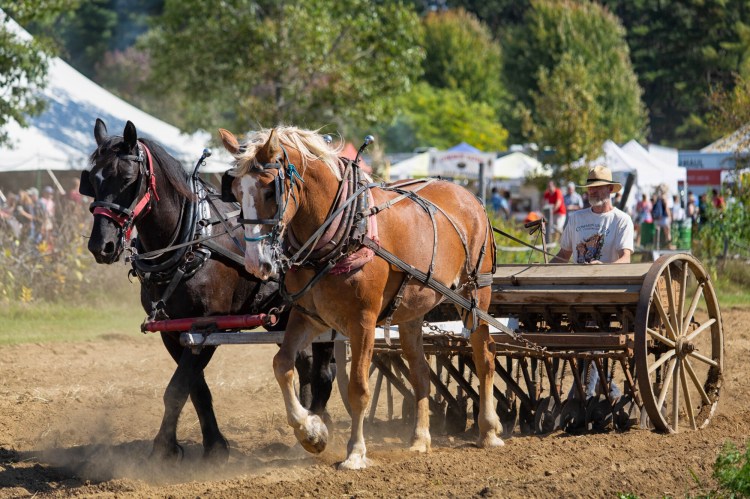 Ken Lamson of New Beat Farm demonstrating a seed drill with horse power at the 2019 Common Ground Country Fair. 