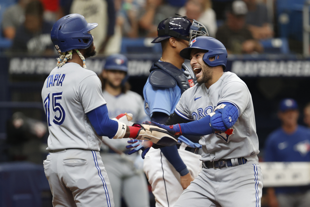 Blue Jays Rays Baseball