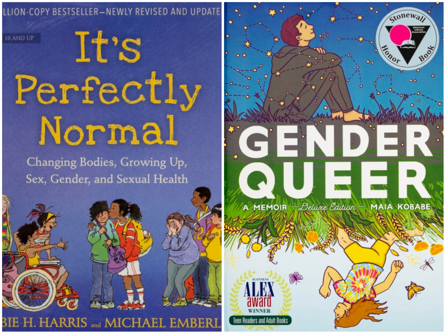 Why two books on gender identity, sexuality are roiling local schools