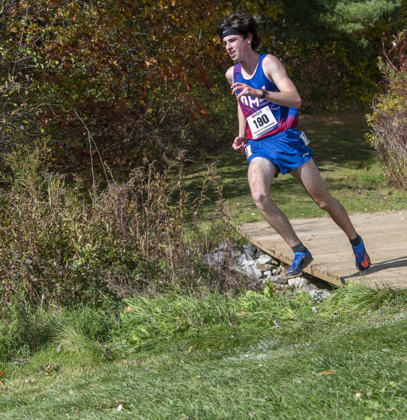 High school cross country preview: Opportunities aplenty for area talent to step up - Vimarsana News