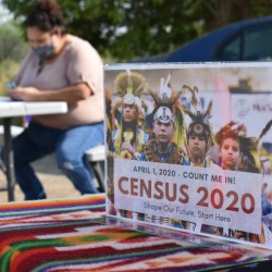 Census Privacy Tool