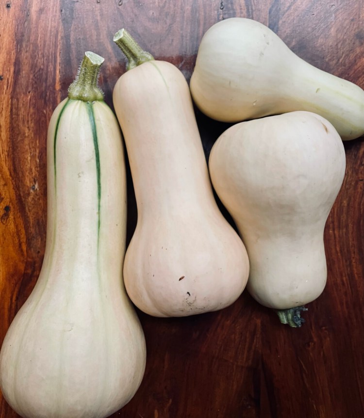 TThe skin of unripe butternut squash is pale yellow with a sheen, and often has yellow and green stripes. 